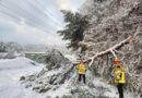 Las nevadas persisten en Seúl, que trata de garantizar la movilidad de sus ciudadanos