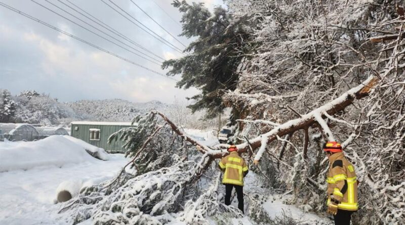 Las nevadas persisten en Seúl, que trata de garantizar la movilidad de sus ciudadanos