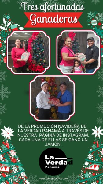 Promo navidad 2024